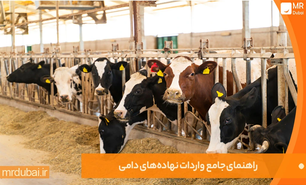 راهنمای جامع واردات نهادههای دامی (2024) راهنمای جامع واردات نهادههای دامی